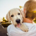 Essential Tips for Traveling with Pets